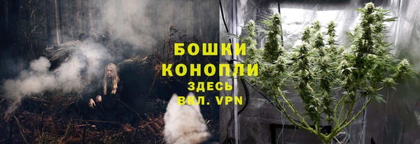 PSILOCYBIN Беломорск
