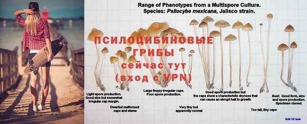 спиды Белокуриха