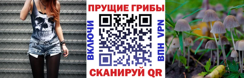Галлюциногенные грибы Magic Shrooms  Хвалынск 